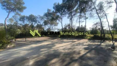 Rustic house in Algaida photo 8