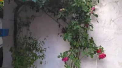Terraced house in Alborea photo 29