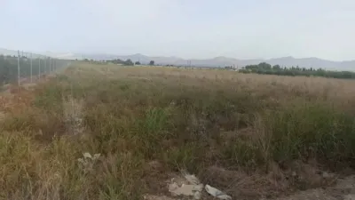 Terreno en venta en Callosa de Segura - Más