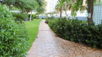 Apartment in Los Calpes photo 19