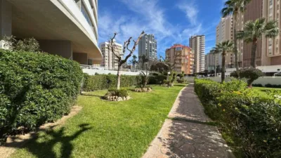 Apartment in Los Calpes photo 2