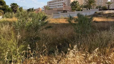 Terreno en venta en los Arenales del Sol - Vista 4