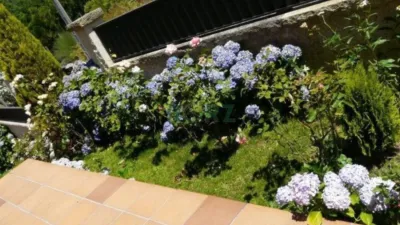 Chalet in O Pereiro de Aguiar photo 33