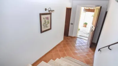 Rustic house in Sóller photo 44