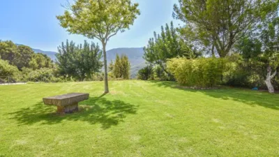 Rustic house in Sóller photo 8