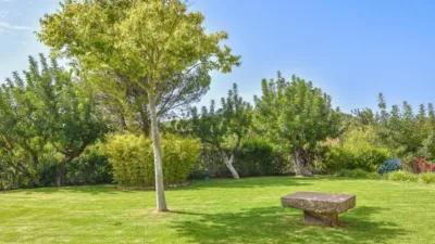 Rustic house in Sóller photo 9