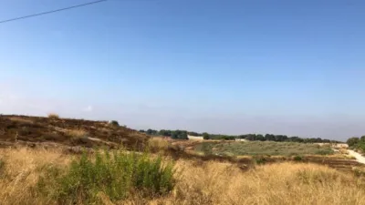 Terreno en venta en Pilar de La Horadada - Vista 3