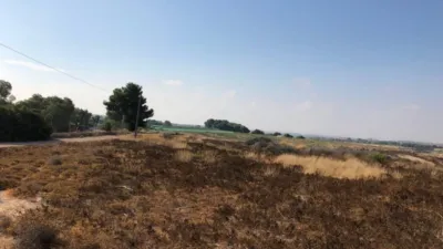Terreno en venta en Pilar de La Horadada - Vista 5