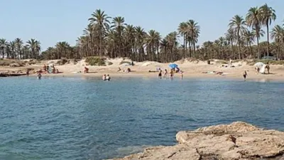 Terreno en venta en San Miguel de Salinas - Vista 3