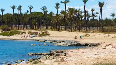Terreno en venta en San Miguel de Salinas - Vista 4