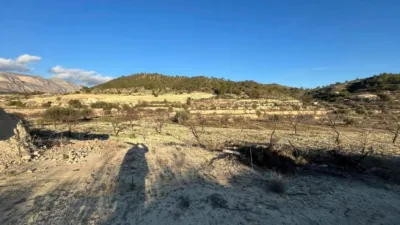 Terreno en venta en Relleu - Vista 5