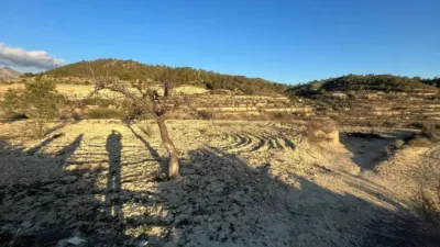 Terreno en venta en Relleu - Més