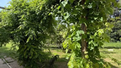 Rustic house in Cortijo de La Torre photo 21