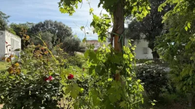 Rustic house in Cortijo de La Torre photo 23
