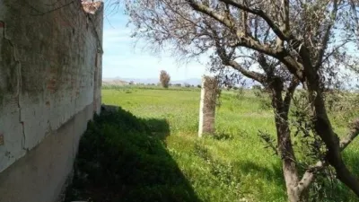 Pis – San Fulgencio, Poligono Industrial Los Moras - Vista 5