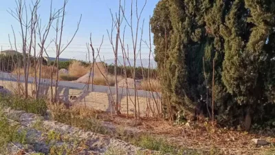 Terreno en venta en Granja de Rocamora - Vista 4