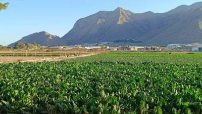 Terreno en venta en Granja de Rocamora - Vista 5