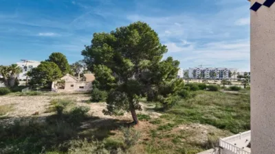 Chalet in Guardamar del Segura photo 13