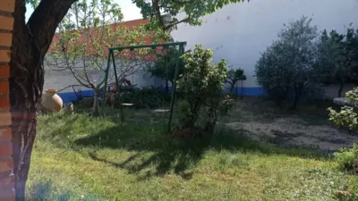 Miniatura 11