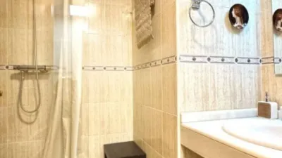 Apartment in L'Alfàs del Pi photo 19