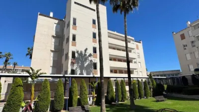 Pis - Vista 3