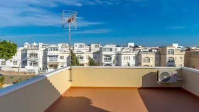 Casa – San Miguel de Salinas - Vista 2