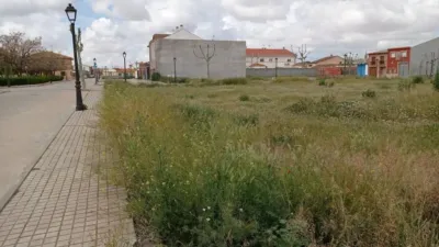 Miniatura 9
