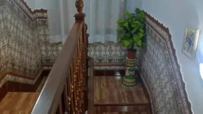 Miniatura 12