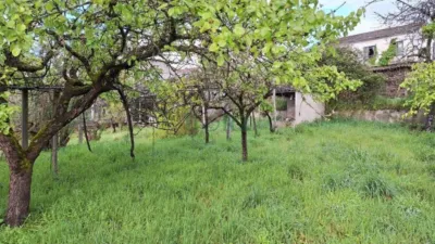 House in A Manchica photo 4