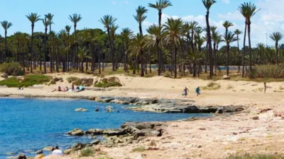 Terreno en venta en San Miguel de Salinas - Més