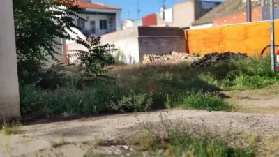 Miniatura 9
