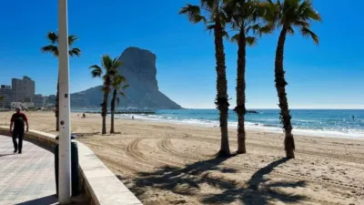 Apartment in Playa del Arenal Bol-Playa del Cantal Roig photo 37