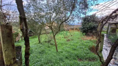 House in A Carballeira (San Cibrao Das Viñas) photo 41