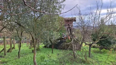House in A Carballeira (San Cibrao Das Viñas) photo 42