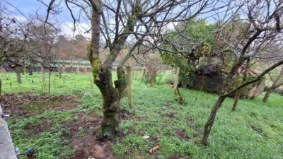 House in A Carballeira (San Cibrao Das Viñas) photo 43