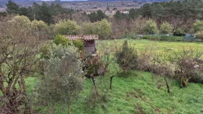 House in A Carballeira (San Cibrao Das Viñas) photo 49