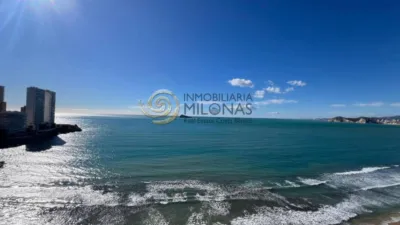 Pis – Benidorm - Vista 4