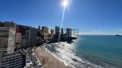 Pis – Benidorm - Vista 5