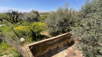 Rustic house in Cánovas photo 31