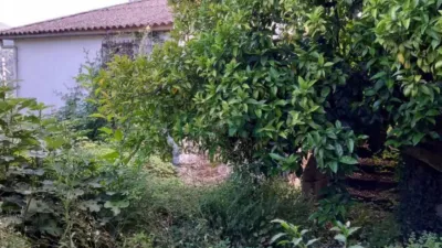 Rustic house in Francelos photo 4