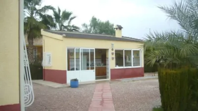 Chalet in Crevillent photo 22