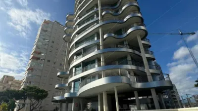 Apartment in Playa del Arenal Bol-Playa del Cantal Roig photo 68