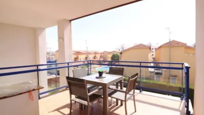 Pis – Orihuela - Vista 5