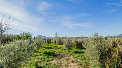 Terreno en venta en Altea Poble - Més