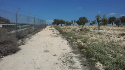 Terreno en venta en Sax - Vista 5