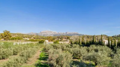 Terreno en venta en Altea Poble - Vista 4