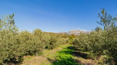 Terreno en venta en Altea Poble - Más