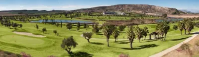 Chalet in Algorfa photo 24