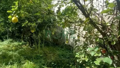 House in Ourense Capital photo 49