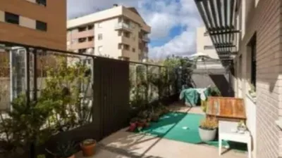 Apartment on Avenida de José Prat photo 12